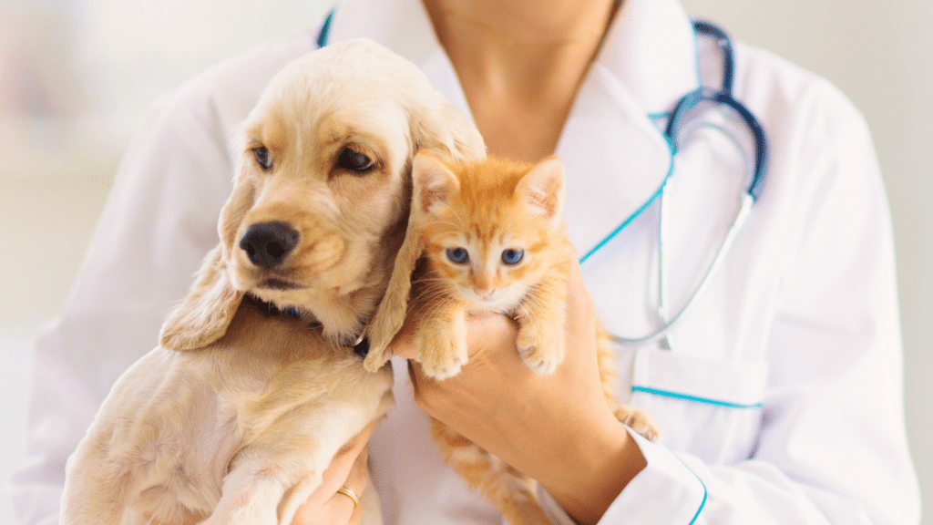 Officina Cognitiva - Gestionale per centri IAA - Veterinario esperto in IAA - cane e gatto